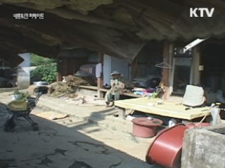 명절이 더 외로운 노인들