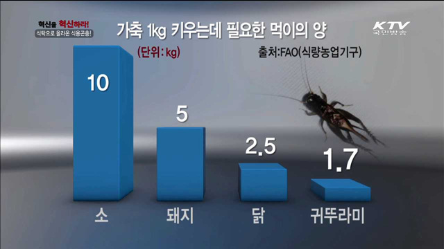 식탁으로 올라온 식용곤충!