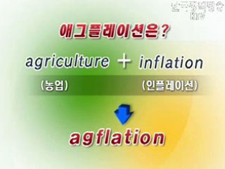 국제 곡물가 급등, 원인과 대책