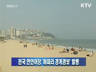 전국 연안어장 '해파리 경계경보' 발령