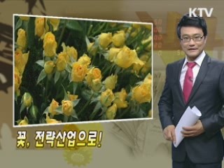 꽃, 전략산업으로!