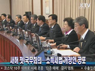 새해 첫 국무회의···소득세법 개정안 공포