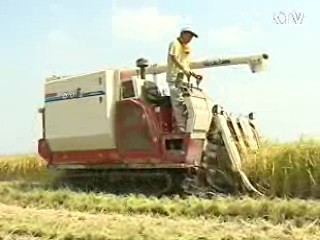 정부 매입 등 쌀값 안정대책 추진