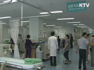 대전시, 설 연휴 특별교통대책 추진