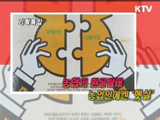 KTV로 보는 <위클리 공감> [정책공감]