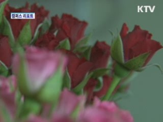 KTV 10 (320회)