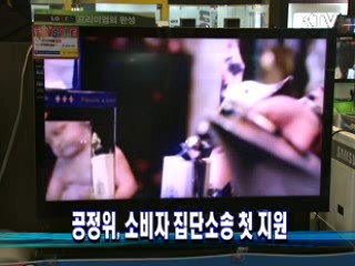 공정위, 소비자 집단소송 첫 지원