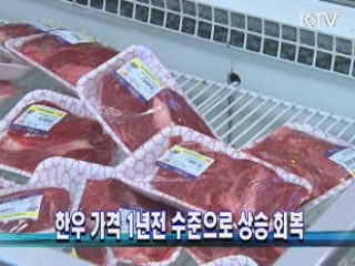 한우 가격 1년전 수준으로 상승 회복