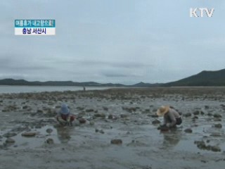 여름휴가 내고향으로! 충남 서산시 [정책, 현장을 가다]