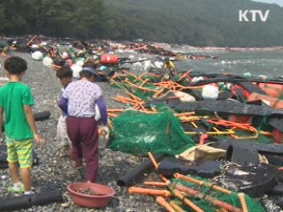 전남 9개 군 특별재난지역 결정 추진