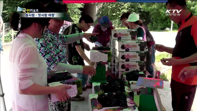 시인과 함께 찾은 농촌마을