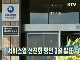 서비스업 선진화 방안 3월 발표