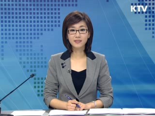 정책 포커스 (243회)