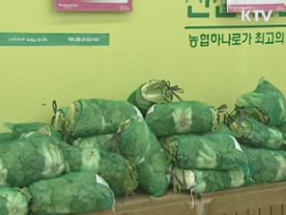 "오는 주말 배추값 4천원대 하락 전망"