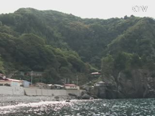 울릉도 '녹색섬' 사업 본격 추진