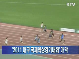 2011 대구국제육상경기대회 개막