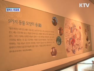 전주역사박물관 '용띠해 특별전' 성황