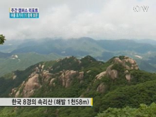 여름휴가지 (1) 충북 보은 