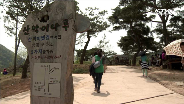 봄 관광주간…전국 곳곳이 '관광지'