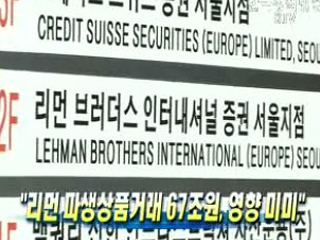 리먼 파생상품거래 67조원, 영향 미미