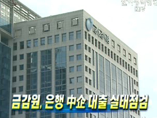 금감원, 은행 中企대출 실태점검