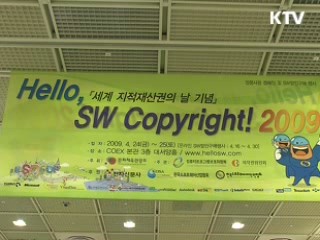 문화와 정책
