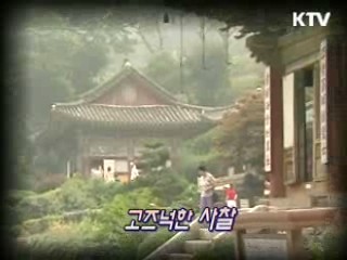 바다로 떠나요 [지금 대한민국]