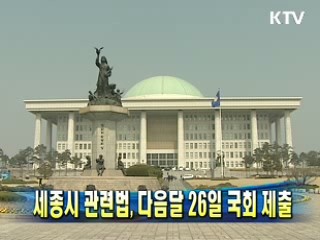 세종시 관련법, 다음달 26일 국회 제출