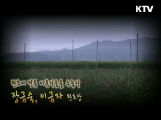 완초에 전통 아름다움을 수놓다 - 장금숙, 이금자 완초장 [장인을 찾아서]