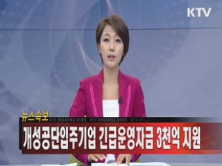 개성공단 입주기업 긴급운영자금 3천억 지원