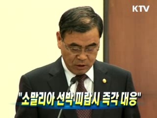 소말리아 선박 피랍시 즉각 대응