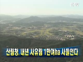 산림청, 내년 사유림 1만여ha 사들인다