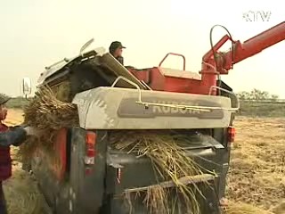 쌀직불금 부당수령시 '3배 환수'