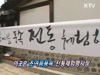 청계천의 초여름 [지금 대한민국]