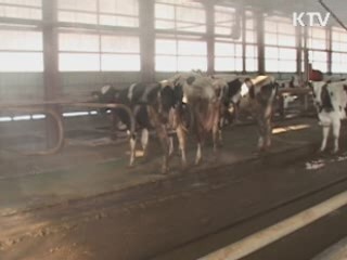 이 대통령 "구제역 축산농가 최대한 지원"