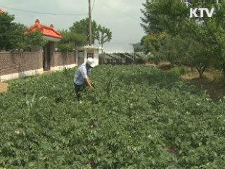 100세 고령자, 비결은 '절제된 식생활'