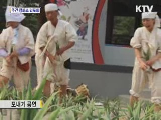 남산골 한옥마을 단오축제