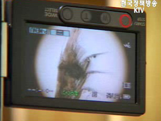 서해 접경 해역서 신종 해양생물 발견