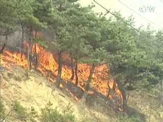 "식목일 전후 산불 최다..각별한 주의를"