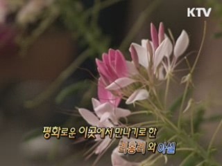 여주 오감도토리 마을로 떠나는 음식문화 기행