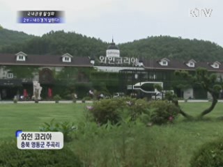 현장진단 '국내관광' 2부 - 국내관광 활성화, 내수경기 살린다!