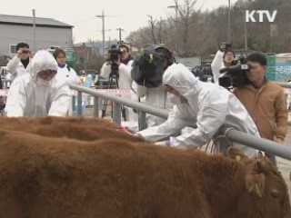 구제역·AI 실전훈련 "초기에 완벽 진압"