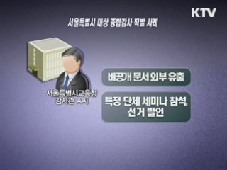 서울교육청 공무원 293명 징계·고발…전 감사관 포함