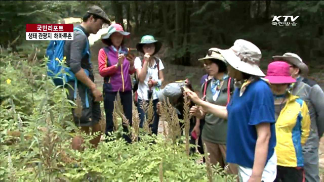 해마루촌 '생태·분단 체험' 관광지로 변신 [국민리포트]