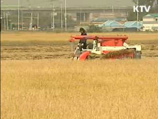 쌀 직불금, 1만㎡ 이상 경작시 지급