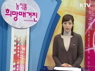 농지연금제도