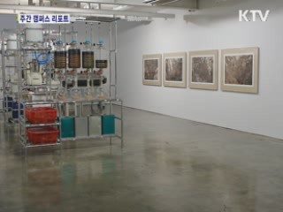 역량있는 젊은 작가들 '보러 오세요' [캠퍼스 리포트]