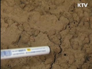 인천, '반딧불이' 인공사육 추진