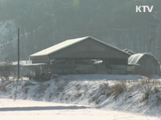 설 전까지 예방접종 완료