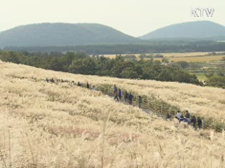 제주 "자연 보전이 최우선"